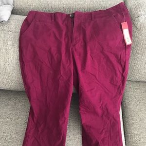 Brand new chino pants